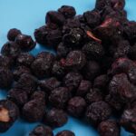 freeze dried blueberries 5