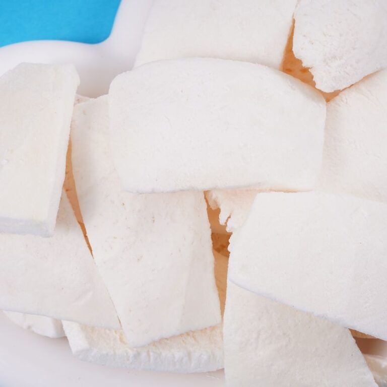 freeze dried coconut chunks 2
