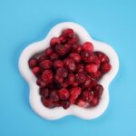 freeze dried cranberries 4