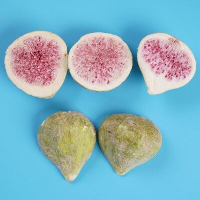 freeze dried figs 1