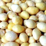 freeze dried ginkgo 1
