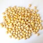 freeze dried ginkgo 3