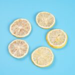 freeze dried lemon slices 4