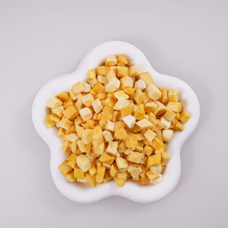 freeze dried mango dices 1