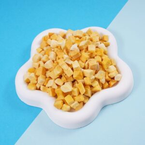 freeze dried mango dices 2