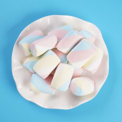 freeze dried marshmallows type 2 1