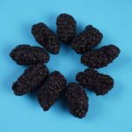 freeze dried mulberries 4