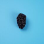 freeze dried mulberries 6
