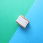 freeze dried oreo ice cream 5
