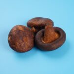 vacuum fried shiitake mushroom crisps 1 1