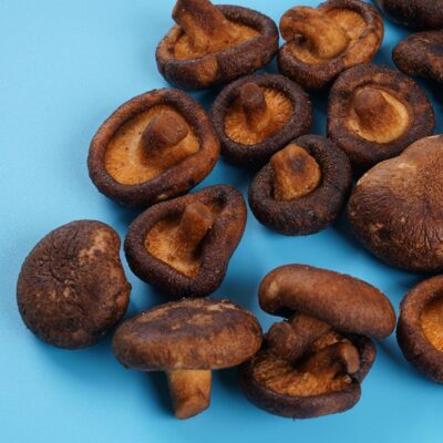 vacuum fried shiitake mushroom crisps 2 1
