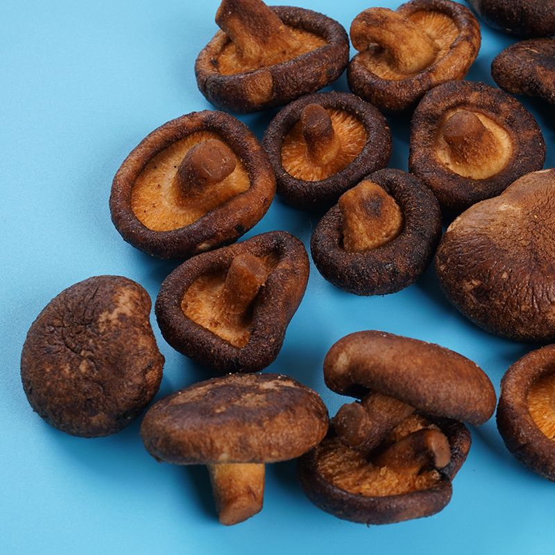 vacuum fried shiitake mushroom crisps 2 1