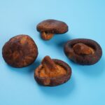 vacuum fried shiitake mushroom crisps 3 1