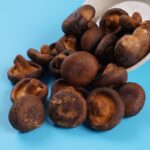 vacuum fried shiitake mushroom crisps 4 1
