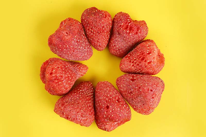 what makes our freeze dried fruit